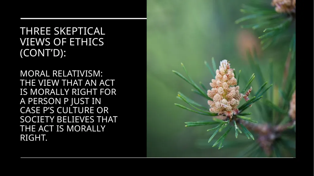 Environmental Ethics: The Central Issues Gregory - slide 26 of 75