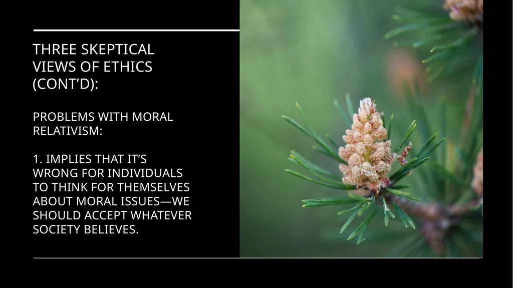 Environmental Ethics: The Central Issues Gregory - slide 27 of 75