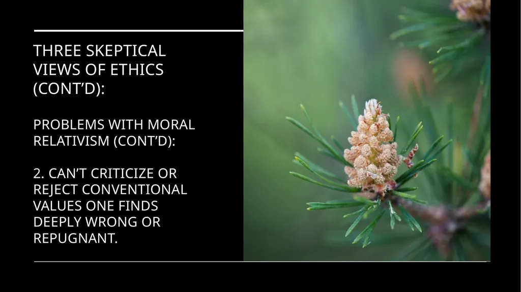 Environmental Ethics: The Central Issues Gregory - slide 28 of 75