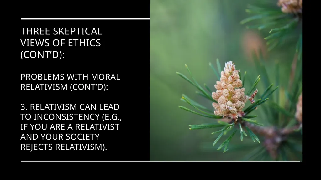 Environmental Ethics: The Central Issues Gregory - slide 29 of 75
