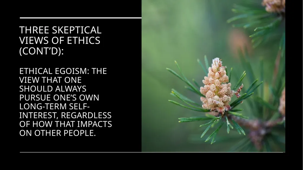 Environmental Ethics: The Central Issues Gregory - slide 30 of 75