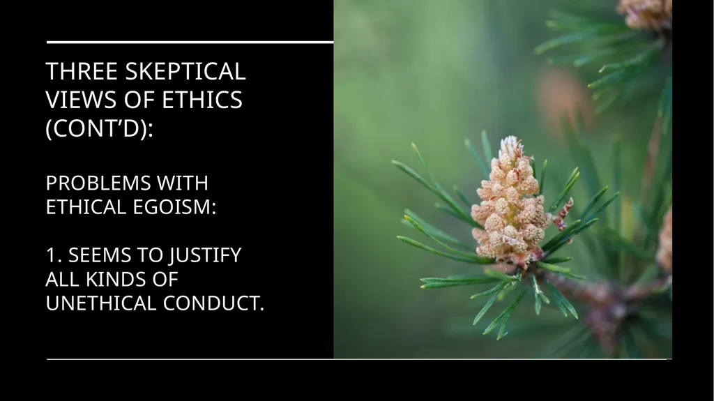 Environmental Ethics: The Central Issues Gregory - slide 31 of 75