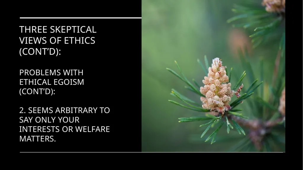 Environmental Ethics: The Central Issues Gregory - slide 32 of 75