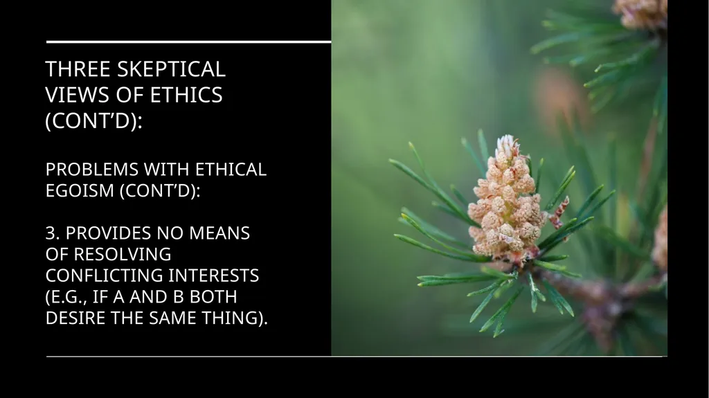 Environmental Ethics: The Central Issues Gregory - slide 33 of 75