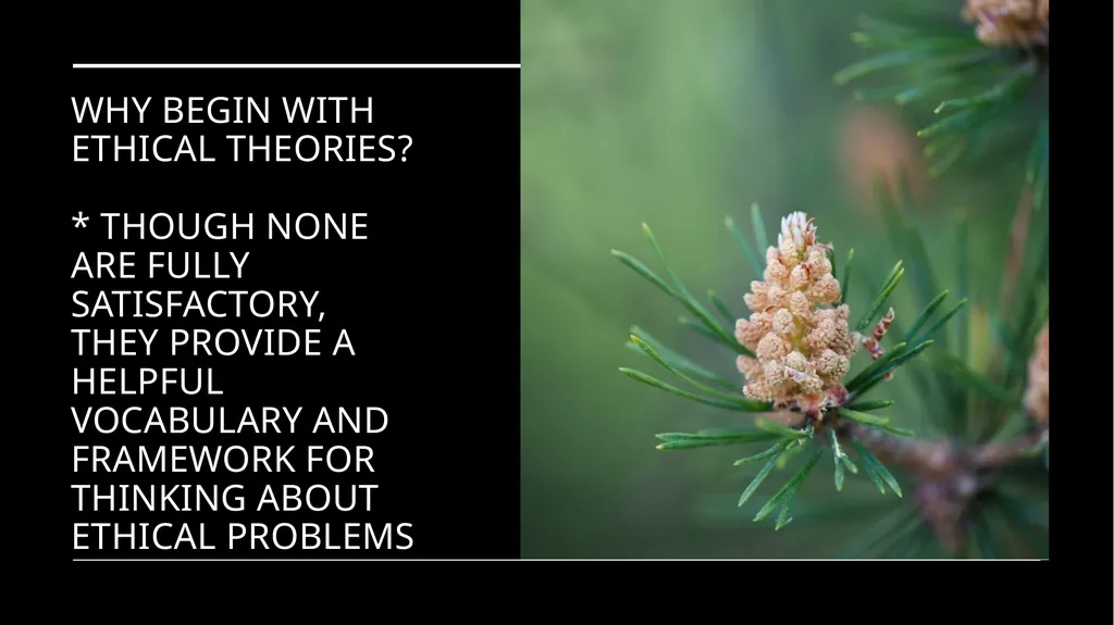 Environmental Ethics: The Central Issues Gregory - slide 3 of 75
