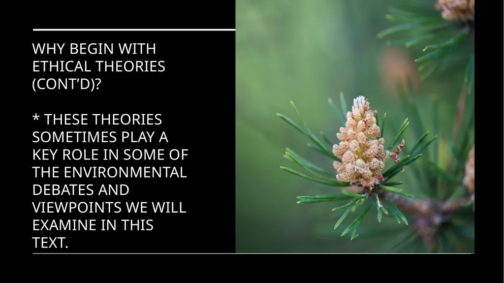 Environmental Ethics: The Central Issues Gregory - slide 4 of 75