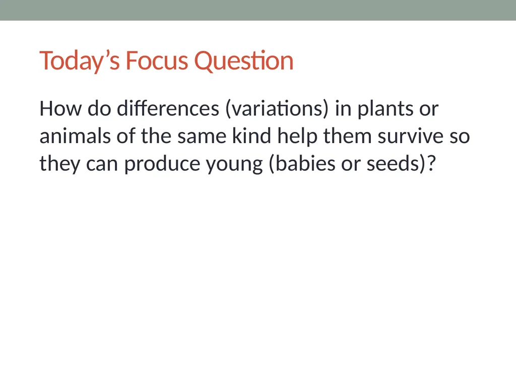 Variations in plants and animals Lesson 5c How Do - slide 3 of 12