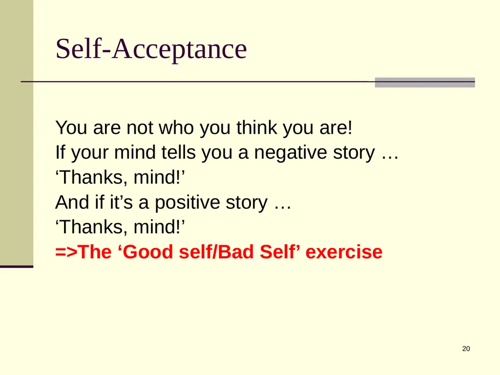 1 Psychological Flexibility Present Moment - slide 20 of 34