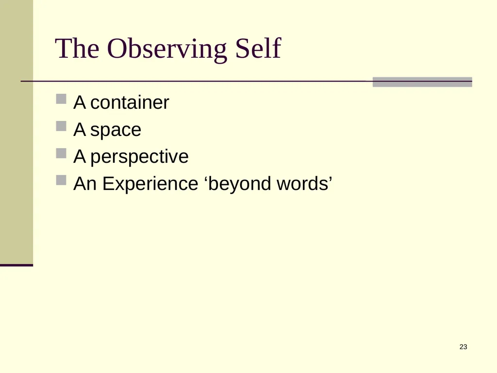1 Psychological Flexibility Present Moment - slide 23 of 34