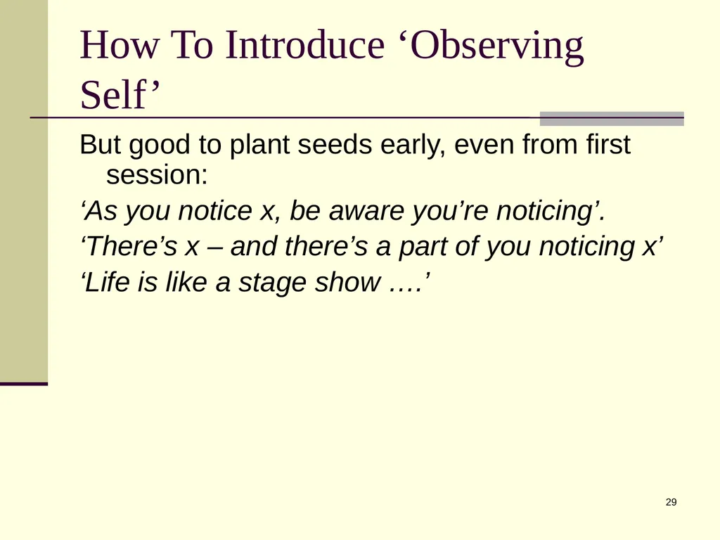 1 Psychological Flexibility Present Moment - slide 29 of 34
