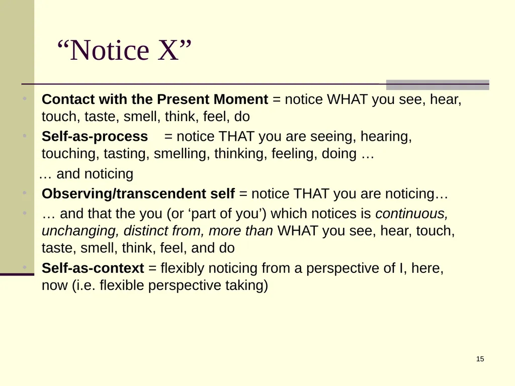 1 Psychological Flexibility Present Moment - slide 15 of 34