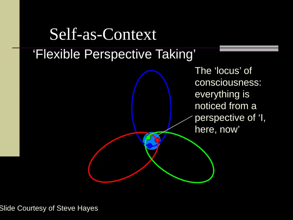 1 Psychological Flexibility Present Moment - slide 9 of 34