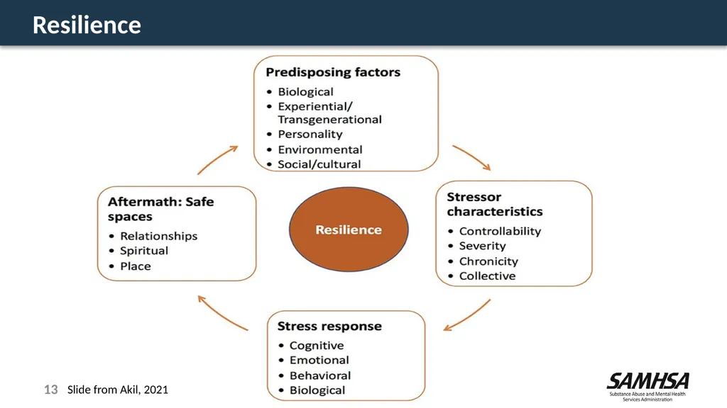 Stress, Trauma, and Resilience: A Focus on the - slide 13 of 17