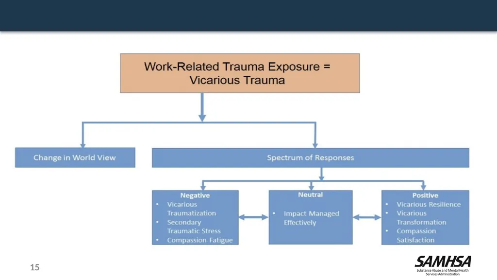 Stress, Trauma, and Resilience: A Focus on the - slide 15 of 17