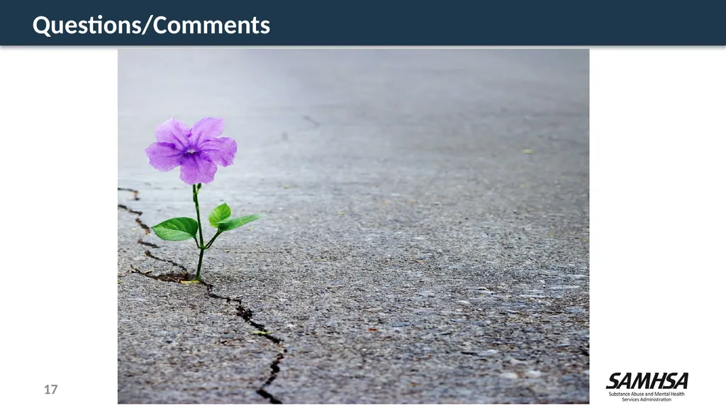 Stress, Trauma, and Resilience: A Focus on the - slide 17 of 17