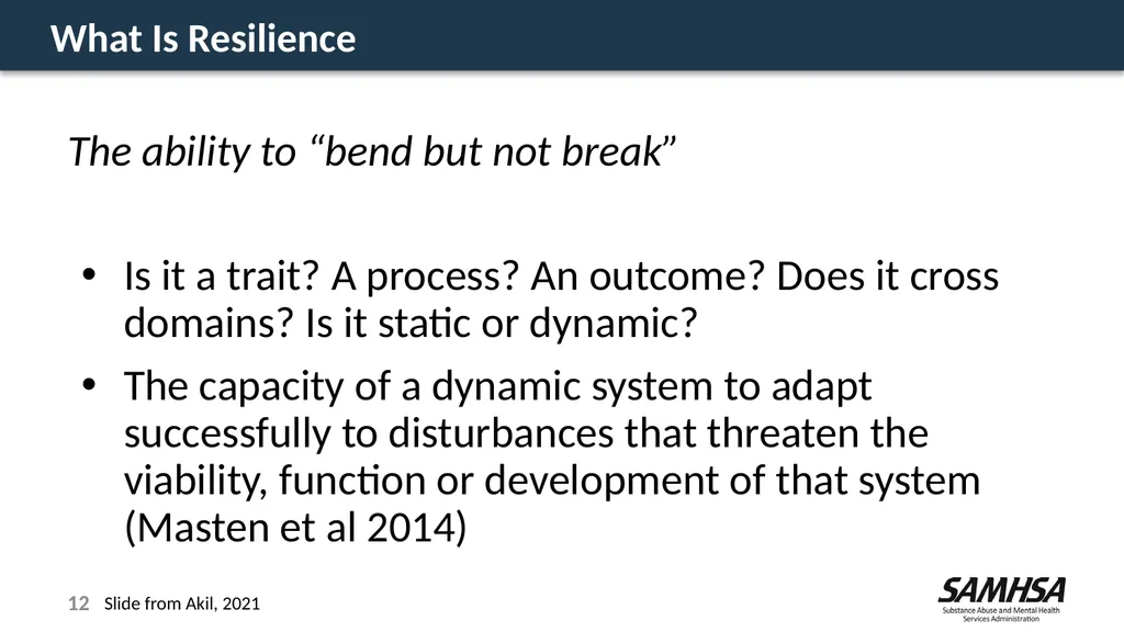 Stress, Trauma, and Resilience: A Focus on the - slide 12 of 17