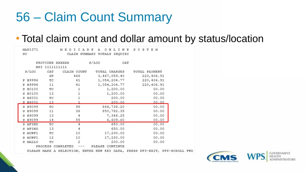 Exploring the Direct Data Entry (DDE) Inquiries - slide 25 of 31