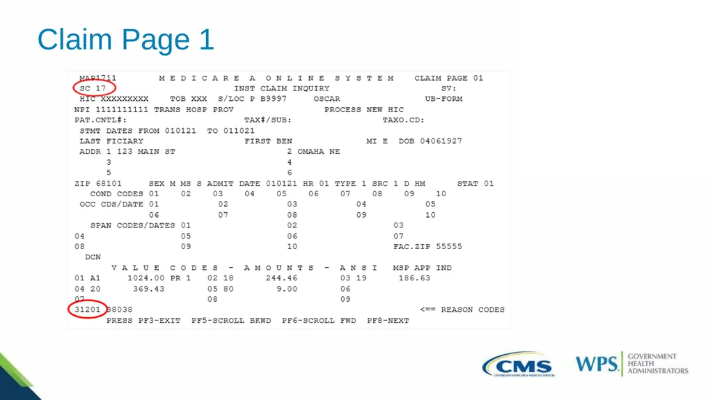 Exploring the Direct Data Entry (DDE) Inquiries - slide 13 of 31