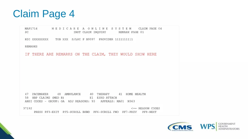 Exploring the Direct Data Entry (DDE) Inquiries - slide 18 of 31