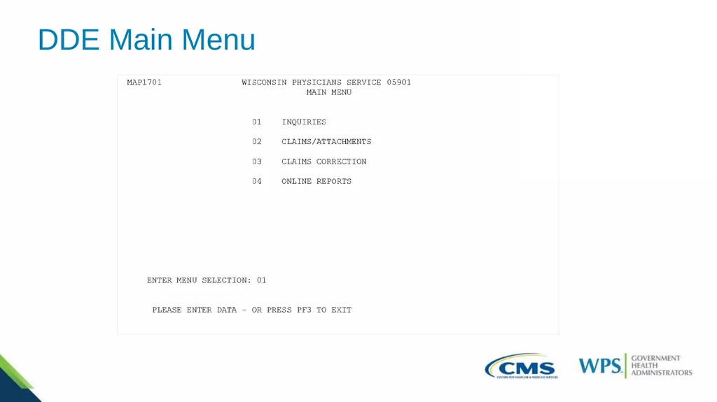 Exploring the Direct Data Entry (DDE) Inquiries - slide 5 of 31