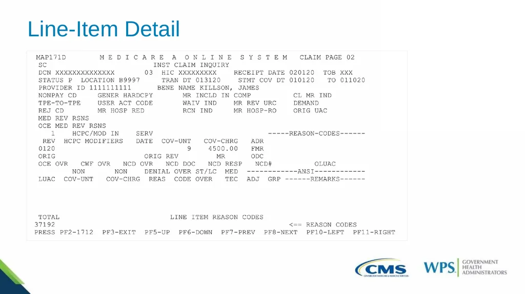 Exploring the Direct Data Entry (DDE) Inquiries - slide 16 of 31