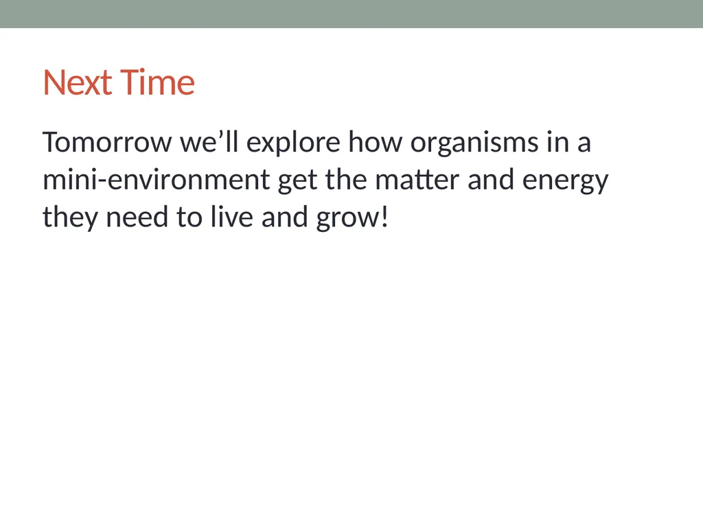 Food Webs Lesson 7a How Do Living Things Depend on - slide 8 of 8