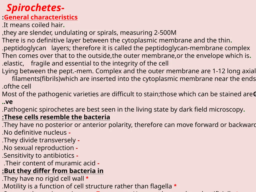 Main pathogenic bacteria of Spirochetaceae - slide 3 of 14