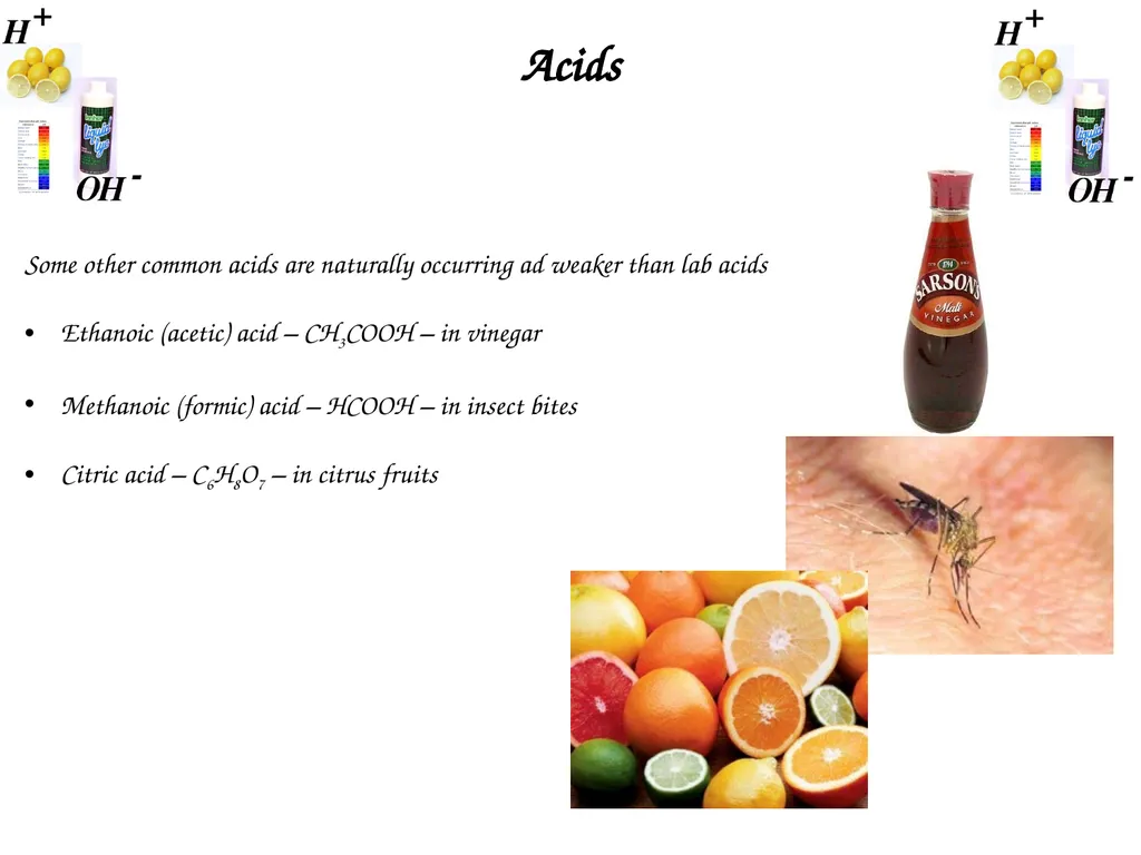 Learning Objectives: Know the formulae of common - slide 3 of 10