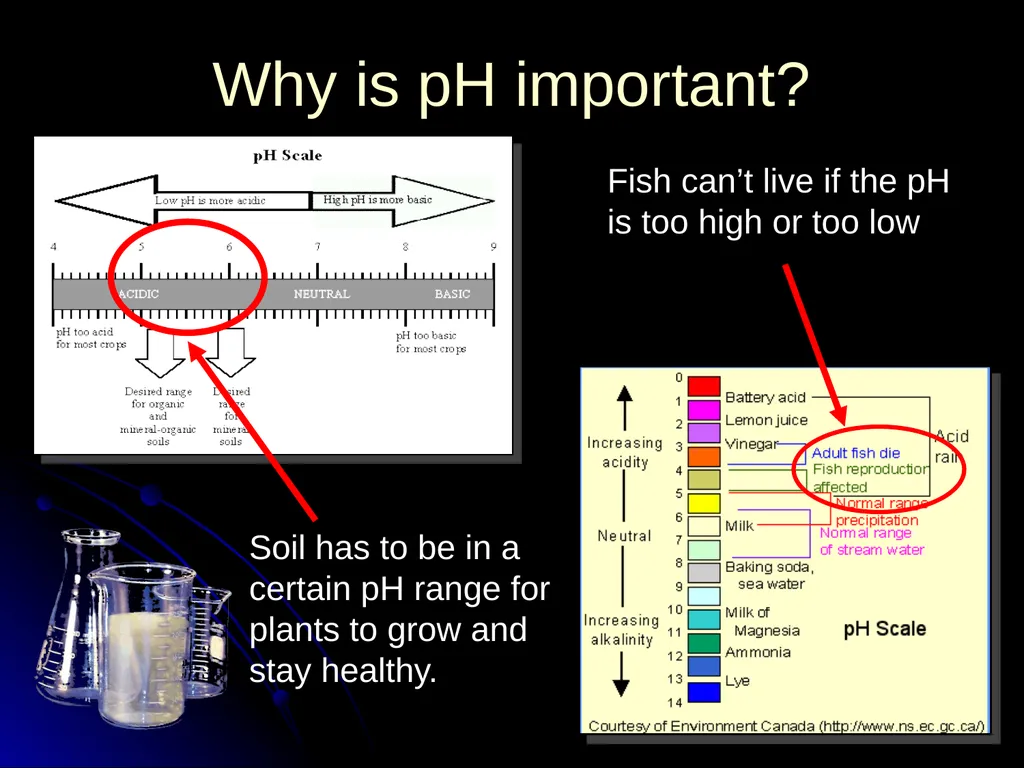 What is pH? pH A special name is given to - slide 23 of 25