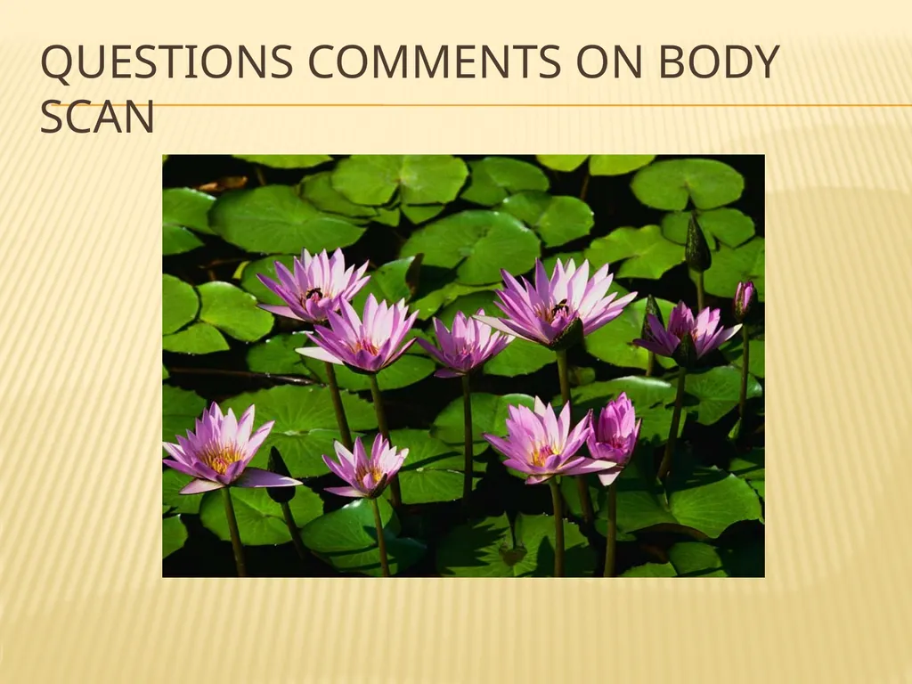 Mindfulness and Urges The Hungry Ghost I’m always - slide 14 of 31
