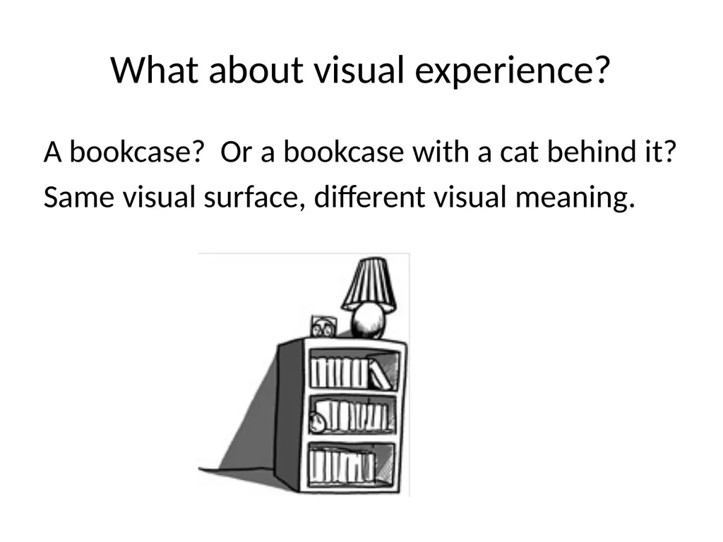 Language, Meaning, and Rational Thought Ray - slide 51 of 111