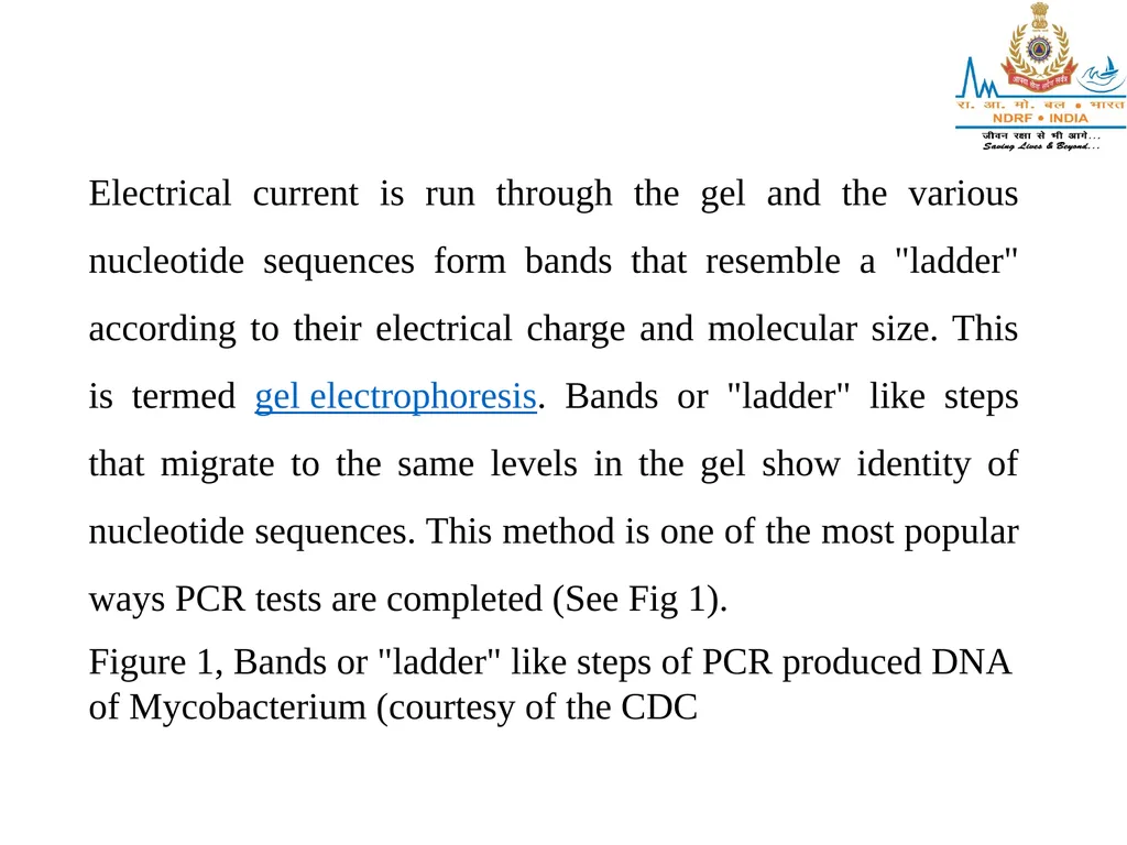 SEROLOGY LESSON -11 By OMKAR YADAV INSP/PH Upon - slide 27 of 43