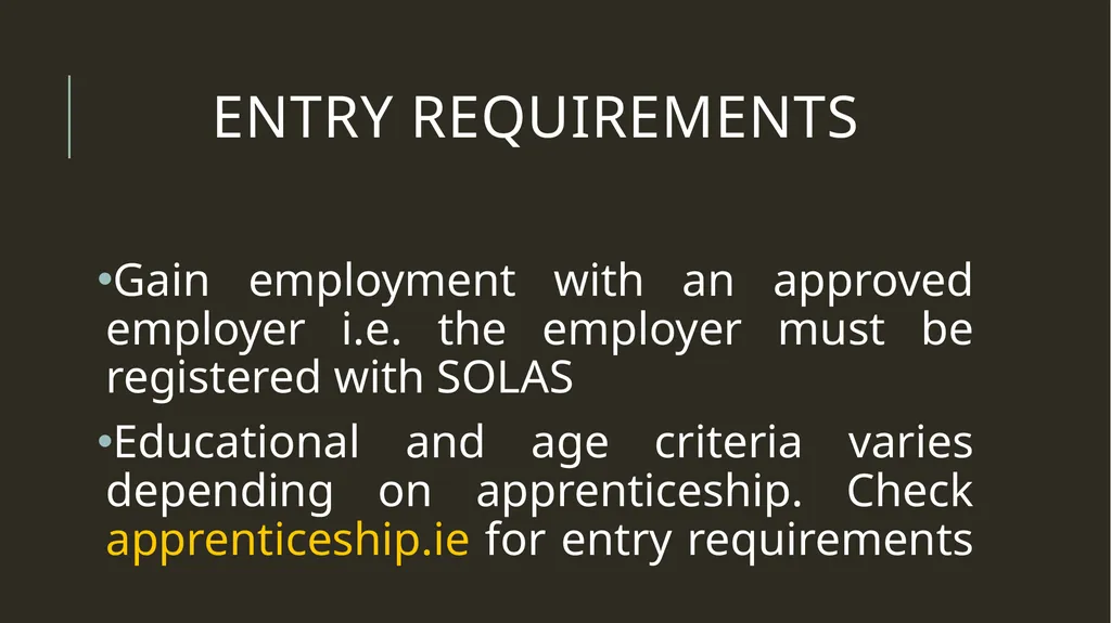 Life after the Leaving Cert Information for - slide 29 of 31
