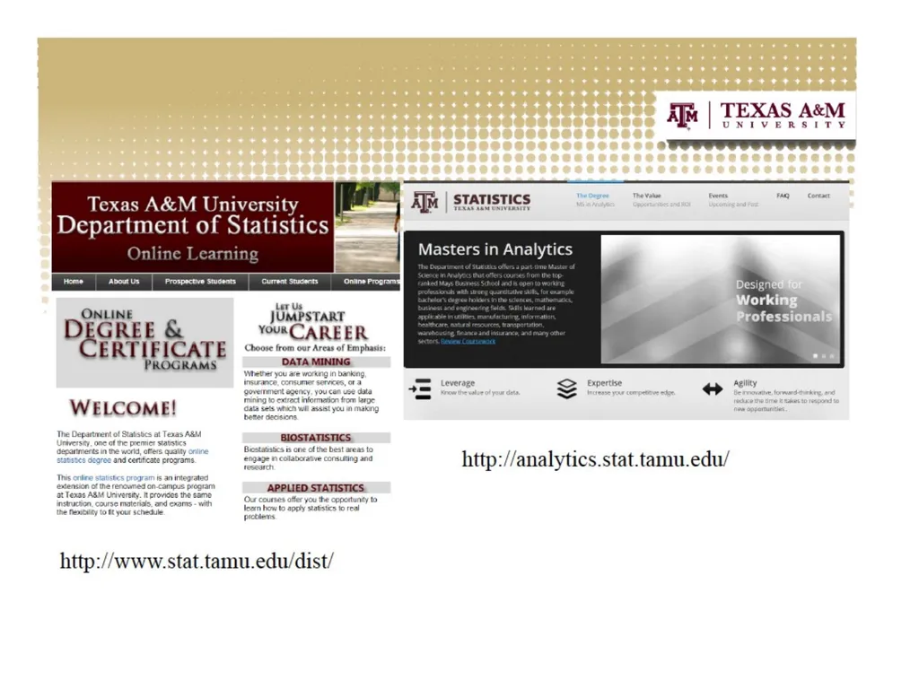 Preparing Statistics Majors for Graduate Study - slide 8 of 18