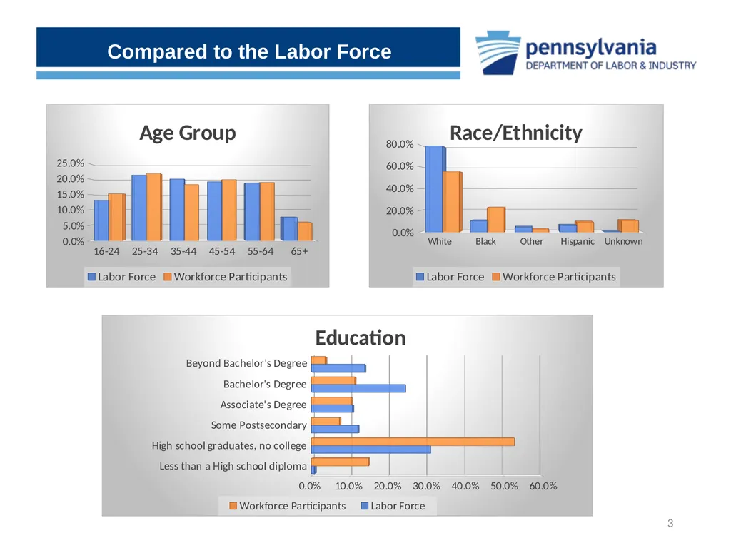 Uncovering the Hidden Gems within CWDS Workforce - slide 3 of 15