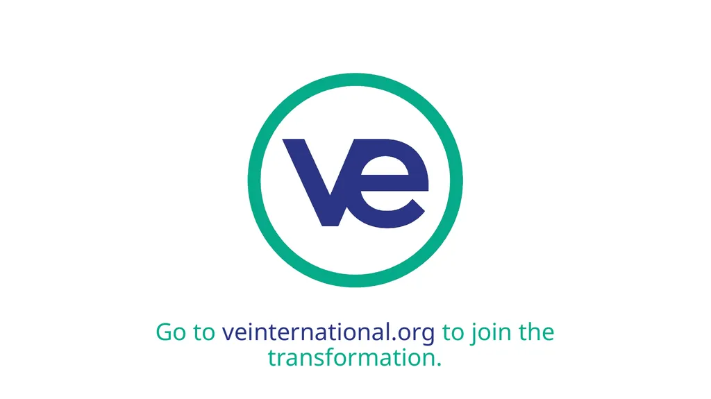 Developing an Accounting System for your VE firm - slide 24 of 25
