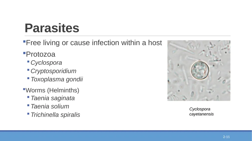 Epi-Ready Foodborne Illness and its Impact Module - slide 11 of 20