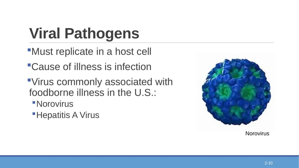 Epi-Ready Foodborne Illness and its Impact Module - slide 10 of 20