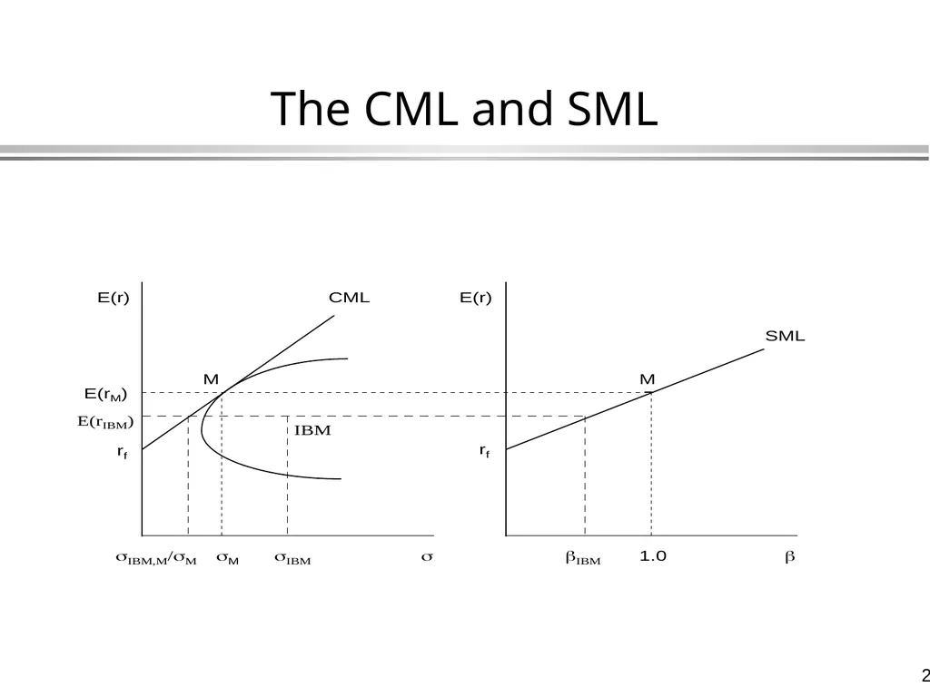 The Capital Asset Pricing Model Global Financial - slide 21 of 43