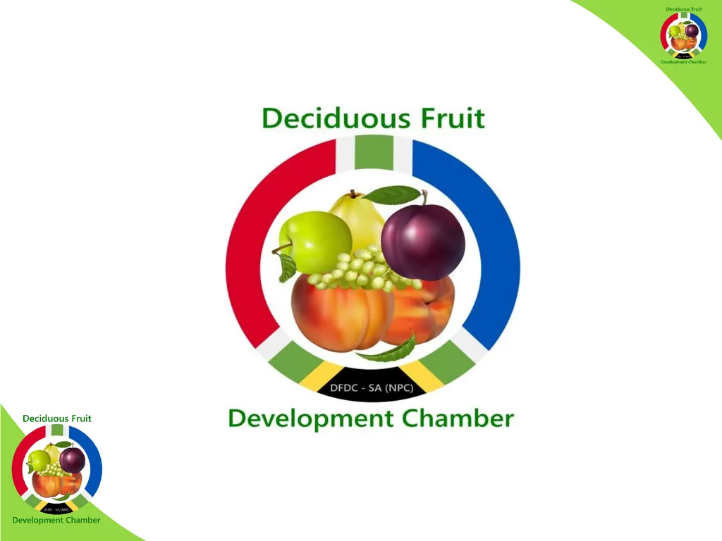 WHO IS THE DFDC-SA? The DFDC-SA was established in - slide 1 of 17