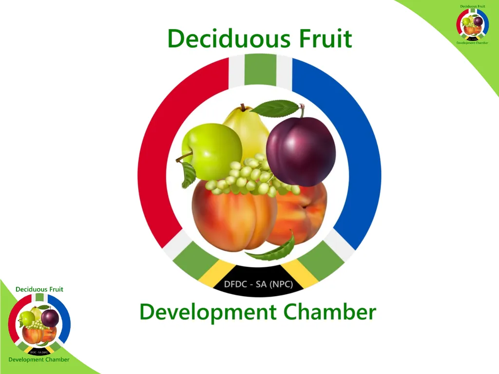 WHO IS THE DFDC-SA? The DFDC-SA was established in - slide 4 of 17