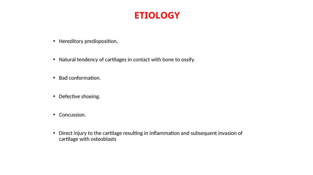 Lecture 5: navicular disease, side bones and - slide 14 of 26