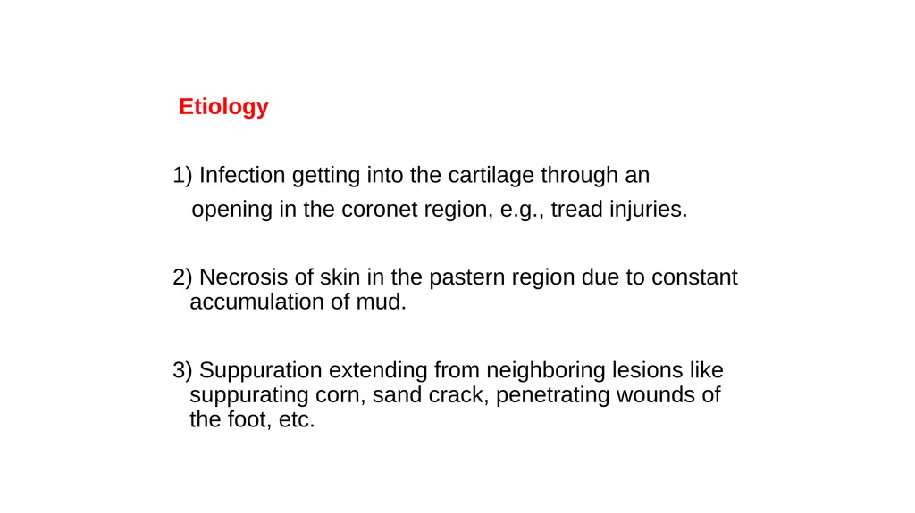 Lecture 5: navicular disease, side bones and - slide 4 of 26