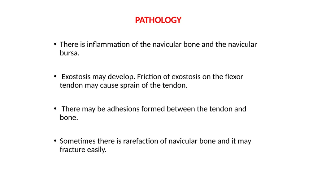 Lecture 5: navicular disease, side bones and - slide 21 of 26