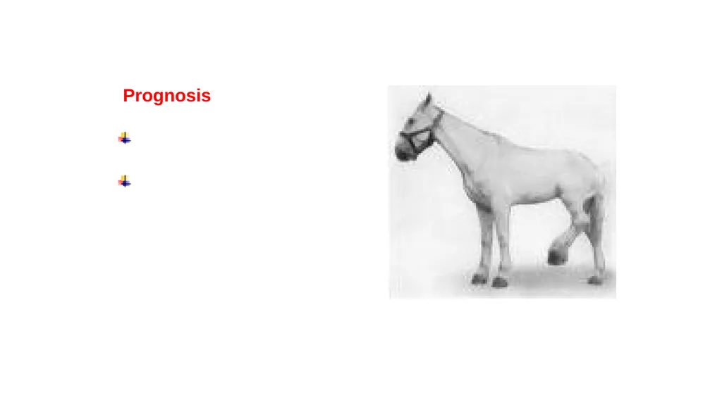 Lecture 5: navicular disease, side bones and - slide 8 of 26