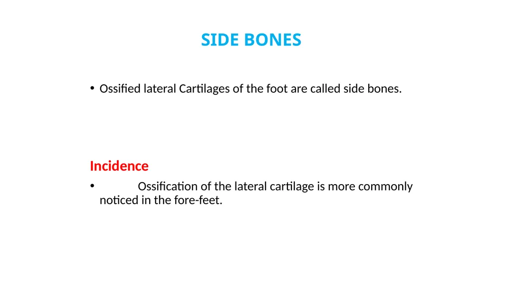 Lecture 5: navicular disease, side bones and - slide 12 of 26