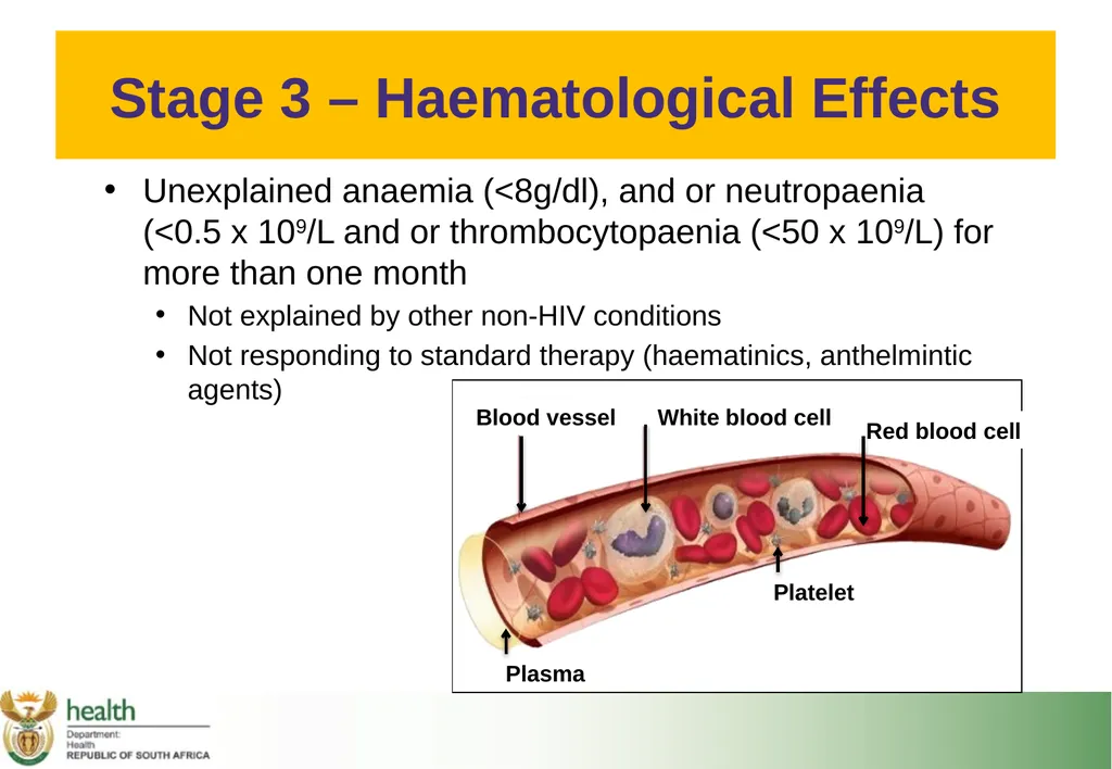 Basic HIV Course for Health Professionals Session - slide 35 of 59