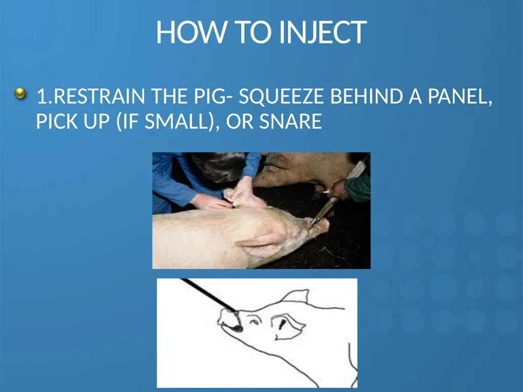 KEEPING YOUR PIGS HEALTHY David Madsen, DVM - slide 56 of 81