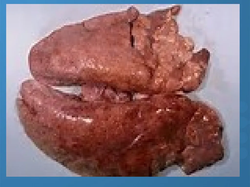 KEEPING YOUR PIGS HEALTHY David Madsen, DVM - slide 16 of 81
