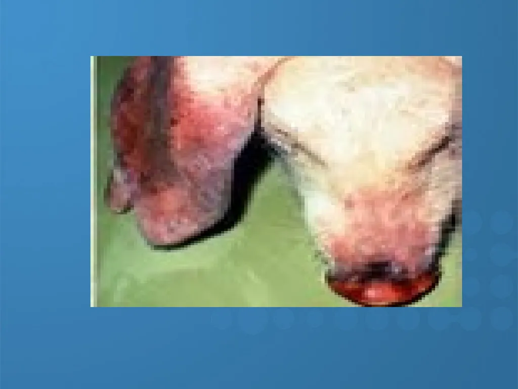 KEEPING YOUR PIGS HEALTHY David Madsen, DVM - slide 31 of 81